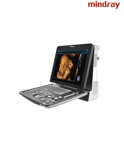 Z60